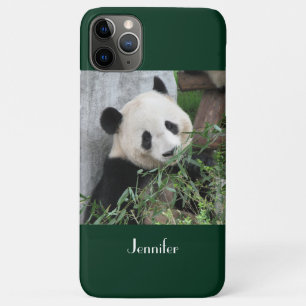 Capa Para iPhone 11 Pro Max Lindo Fundo Verde Panda, Nome, 