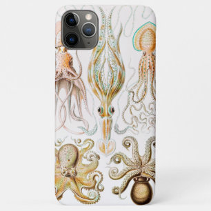 Capa Para iPhone 11 Pro Max Lula de polvo, Gamochonia por Ernst Haeckel