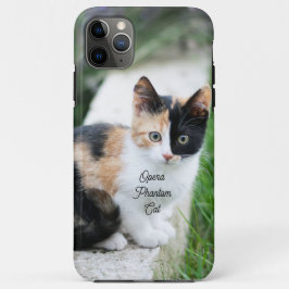 Capa Para iPhone 11 Pro Max Opera Phantom Cat