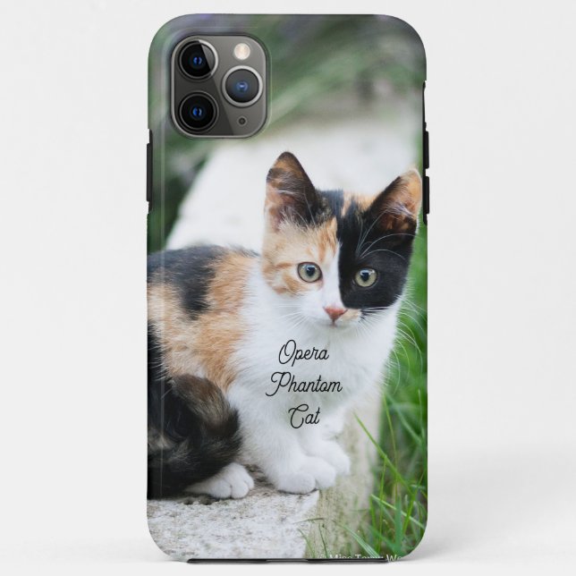 Capa Para iPhone 11 Pro Max Opera Phantom Cat (Verso)