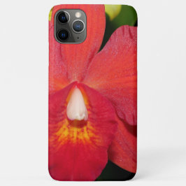 Capa Para iPhone 11 Pro Max Orquídea vermelha-clara