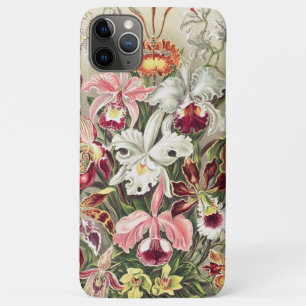 Capa Para iPhone 11 Pro Max Orquídeas, Orquídeas Denusblumen de Ernst Haeckel