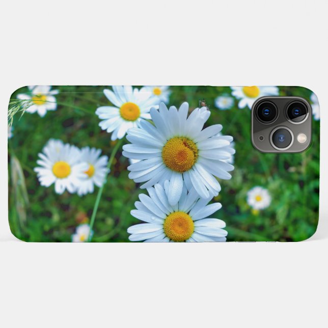 Capa Para iPhone 11 Pro Max Ox-Eye Daisies (Verso (horizontal))