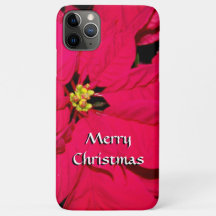 Red Christmas Poinsettia