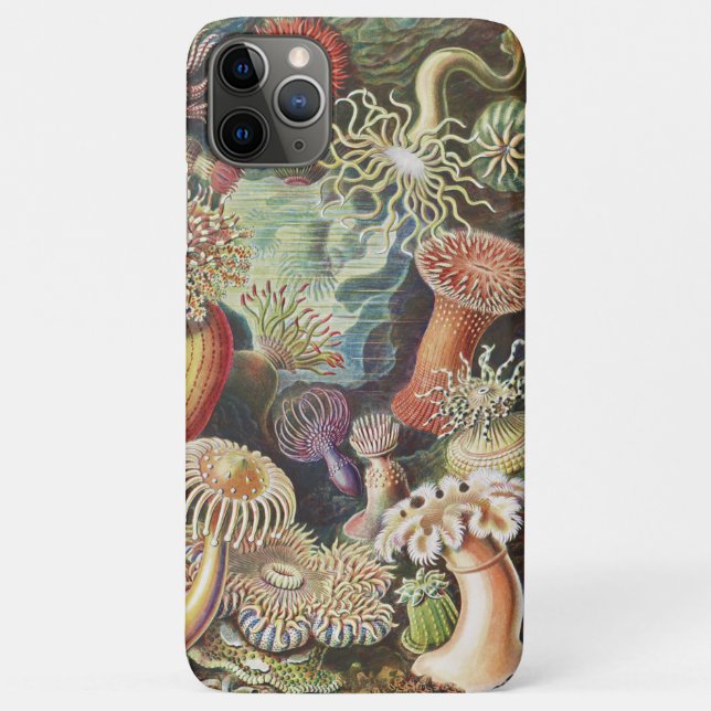 Capa Para iPhone 11 Pro Max Sea Anemones, Actiniae Seeanemonen Ernst Haeckel (Verso)