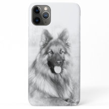 Shephard Dog alemão