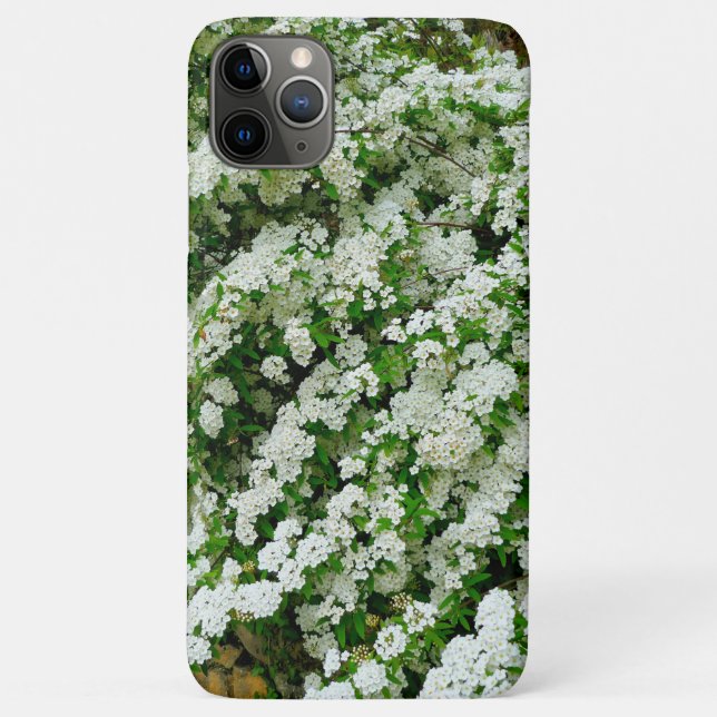 Capa Para iPhone 11 Pro Max Spirea Arguta (Verso)