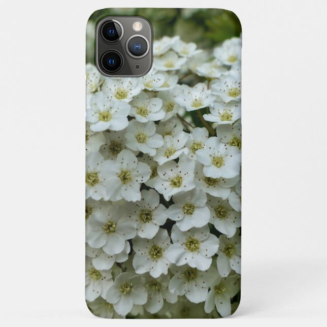 Capa Para iPhone 11 Pro Max Spirea Arguta (Verso)