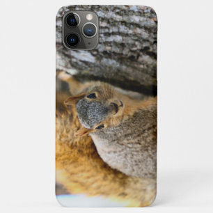 Capa Para iPhone 11 Pro Max Você não vem?