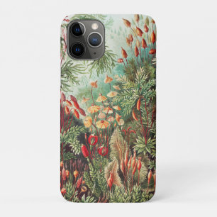 Capa Para iPhone 11 Pro Mosses, Muscinae Laubmoose por Ernst Haeckel