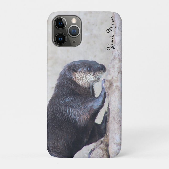 Capa Para iPhone 11 Pro Otterly Sleek (Verso)