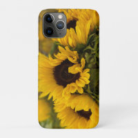 Ouro quente Sunflower Personalizado