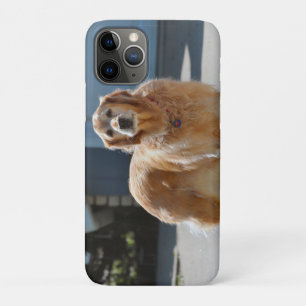 Capa Para iPhone 11 Pro Ouro Sunshine
