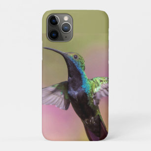 Capa Para iPhone 11 Pro Pássaro Humming