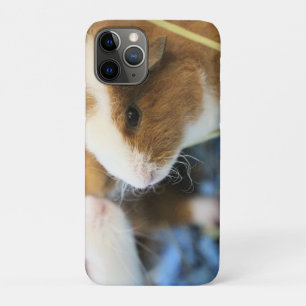 Capa Para iPhone 11 Pro Piggy