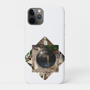 Capa Para iPhone 11 Pro Poliscópio Meerkat,