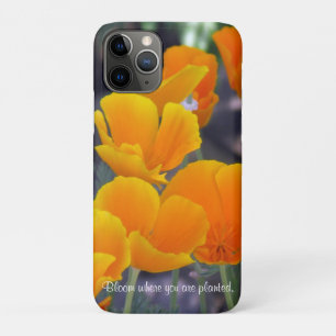 Capa Para iPhone 11 Pro Poppies bonito da Califórnia com Cotação