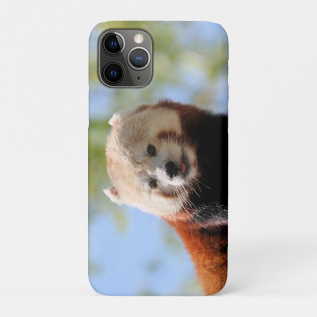 Capa Para iPhone 11 Pro Red Panda (Verso)