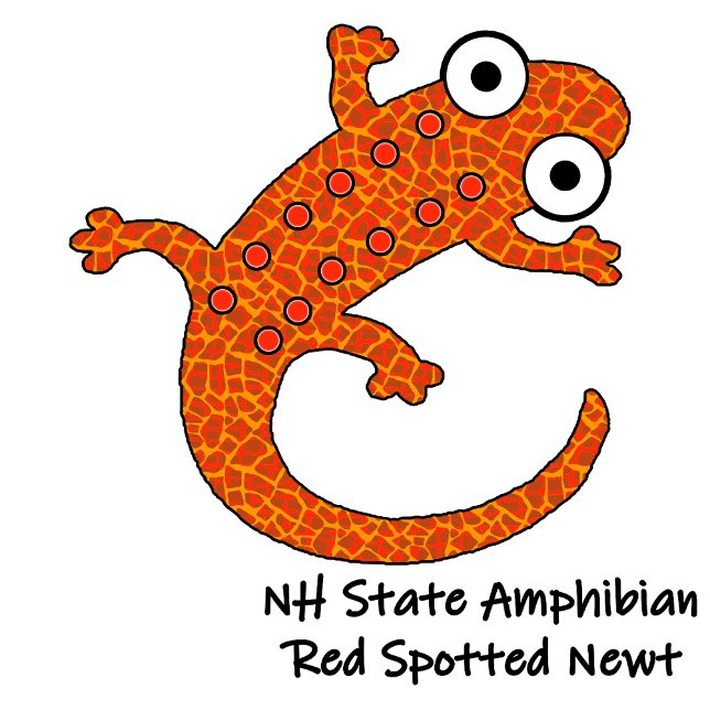 Capa Para iPhone 11 Pro Red Spotted Newt no chão da floresta preto (The Red Spotted Newt is the New Hampshire State Amphibian.)