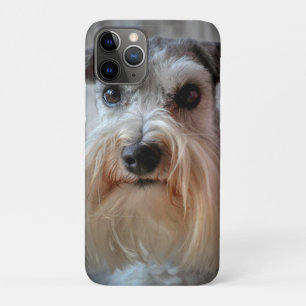 Capa Para iPhone 11 Pro Rosto de Cachorro Schnauzer
