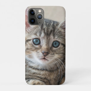 Capa Para iPhone 11 Pro Rosto de Gato Bonito