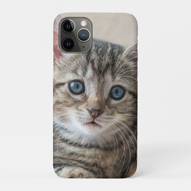 Capa Para iPhone 11 Pro Rosto de Gato Bonito (Verso)