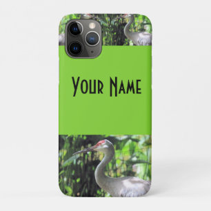 Capa Para iPhone 11 Pro Sandhill Crane