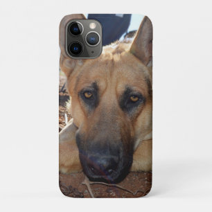 Capa Para iPhone 11 Pro Sonolento Entilment: Cão Pastor Alemão Jovem,