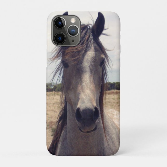 Capa Para iPhone 11 Pro Star The Arab Pony, (Verso)