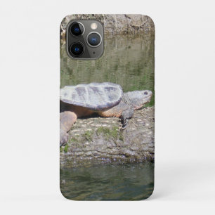 Capa Para iPhone 11 Pro Tartaruga de estalagem