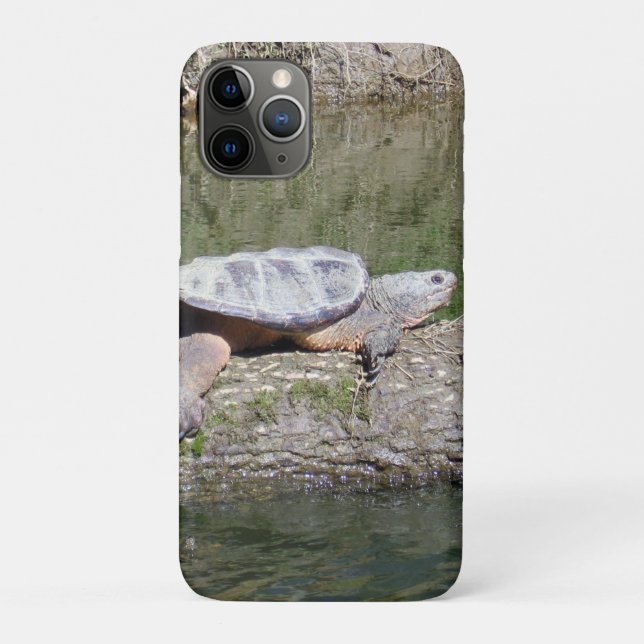 Capa Para iPhone 11 Pro Tartaruga de estalagem (Verso)