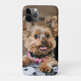 Capa Para iPhone 11 Pro Tiny Dynamo