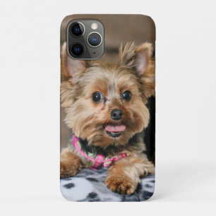 Capa Para iPhone 11 Pro Tiny Dynamo