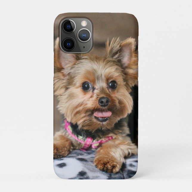 Capa Para iPhone 11 Pro Tiny Dynamo (Verso)