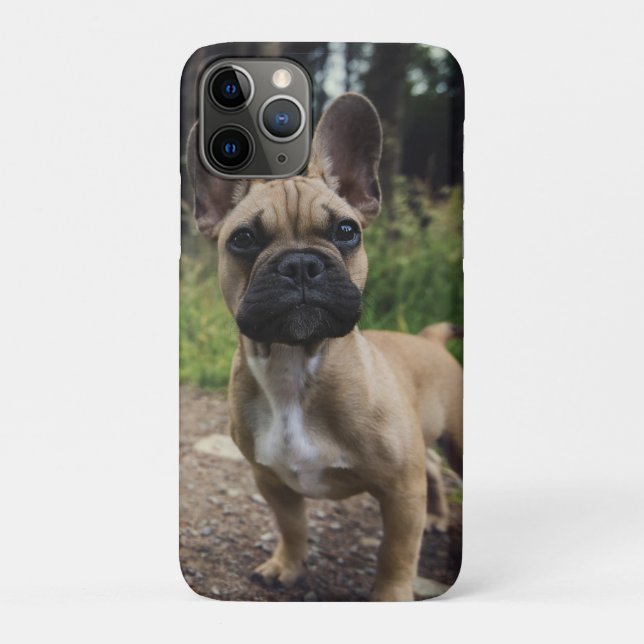 Capa Para iPhone 11 Pro Travesseiro de French Bulldog (Verso)