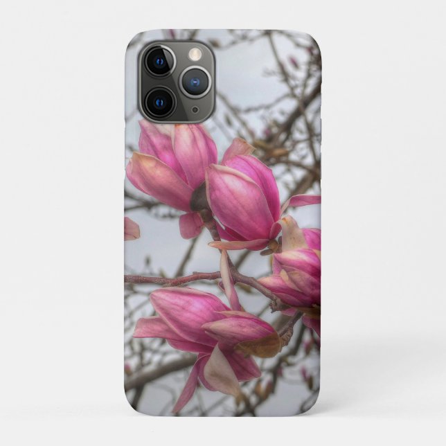Capa Para iPhone 11 Pro Tulip Tree Blossoms (Verso)