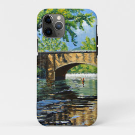 Capa Para iPhone 11 Pro Vista Panorâmica do Córrego das Trutas