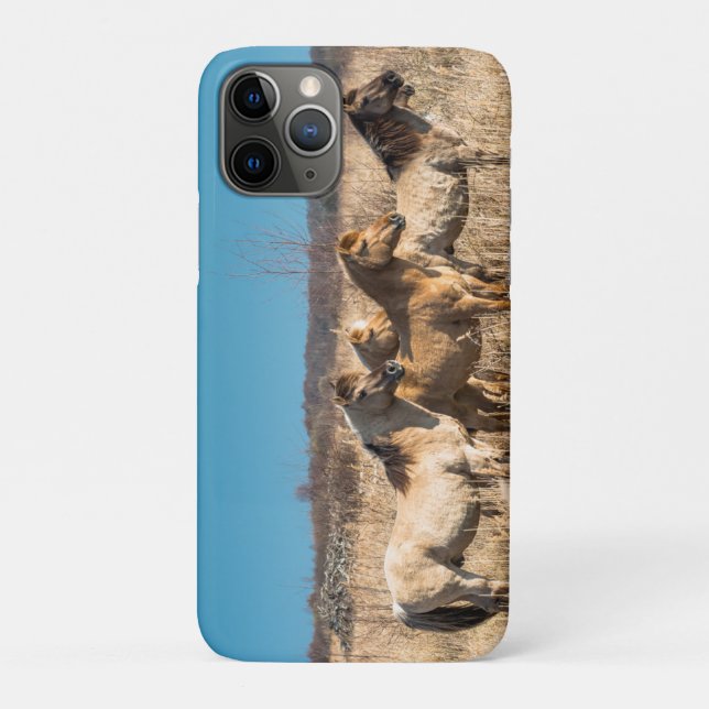 Capa Para iPhone 11 Pro Wicken Fen Cambridgeshire UK (Verso)