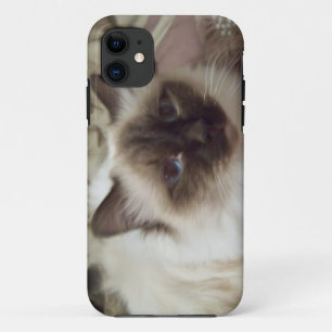 Capa Para iPhone 11 Puffo the cat Phone case