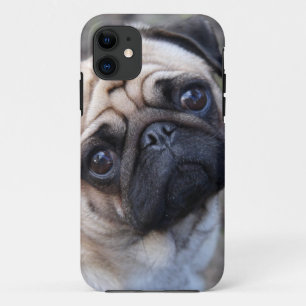 CAPA PARA iPhone 11 PUG
