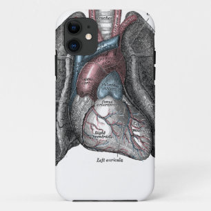 Capa Para iPhone 11 Pulmões do coração da anatomia do cinza da