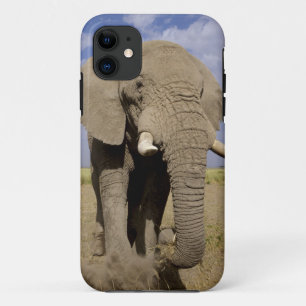 Capa Para iPhone 11 Quênia: Parque Nacional de Amboseli, elefante mach