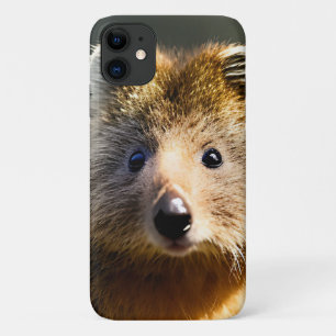 Capa Para iPhone 11 Quintin The Ginger Quokka