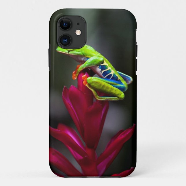 Capa Para iPhone 11 Rã-arbórea-de-olho-vermelho (Verso)