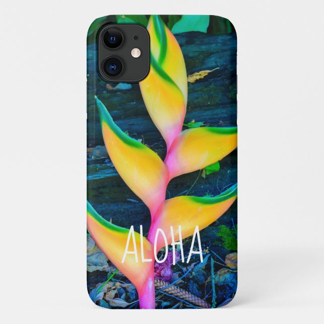 Capa Para iPhone 11 Rainbow Heliconia, Haena, Kauai, Havaí (Verso)
