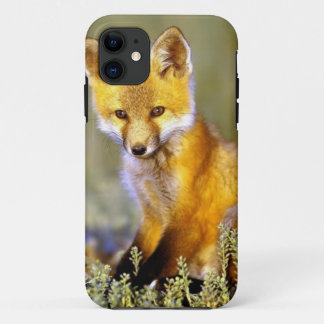 Capa Para iPhone 11 raposa vermelha do bebê pequeno bonito