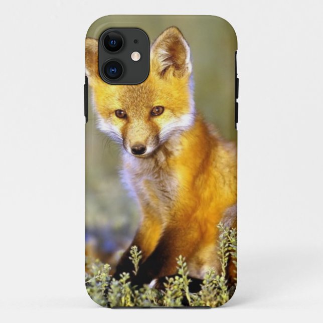 Capa Para iPhone 11 raposa vermelha do bebê pequeno bonito (Verso)
