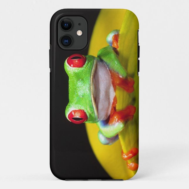 Capa Para iPhone 11 Red Eye Treefrog, Agalychinis callidryas, Nativo (Verso)