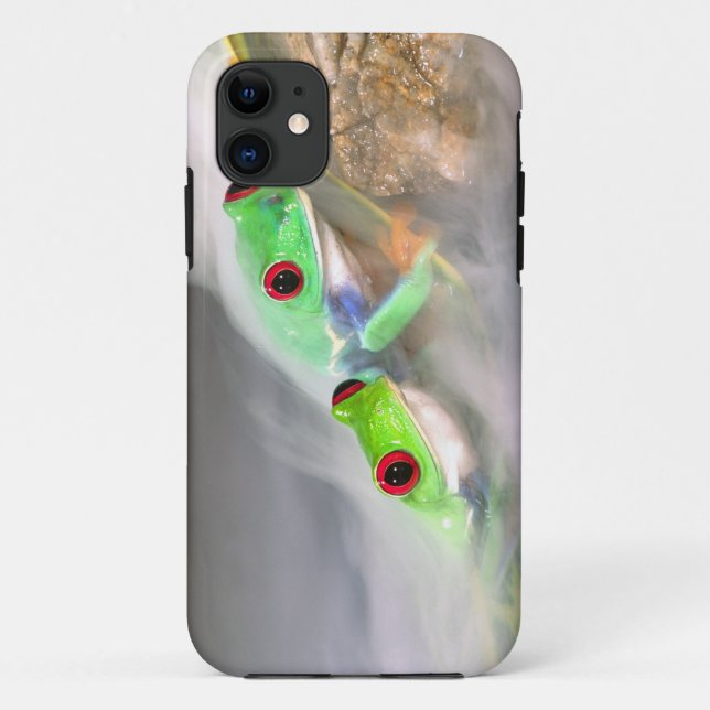 Capa Para iPhone 11 Red Eye Treefrog na neblina, Agalychinis 2 (Verso)