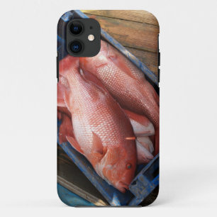 Capa Para iPhone 11 Red Snapper Fish iPhone 5